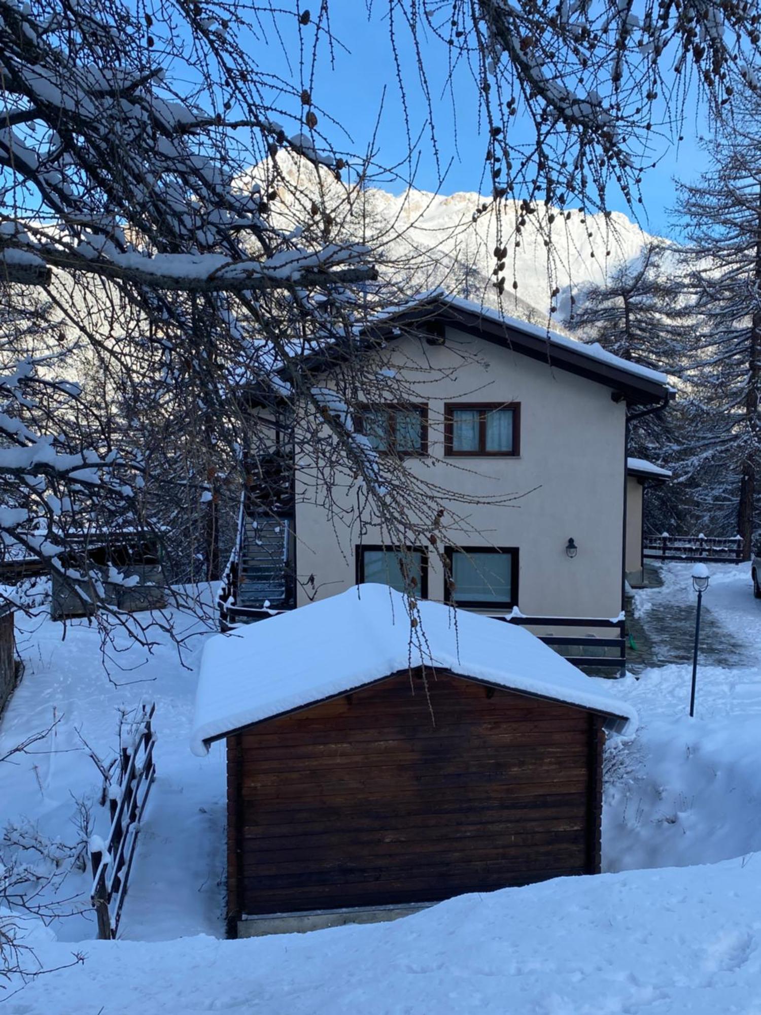 Green Mountain Lodge Oulx Eksteriør billede